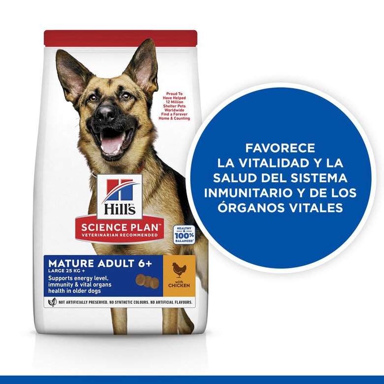 Hill's Science Plan Mature Adult Large Pollo pienso para perros, , large image number null